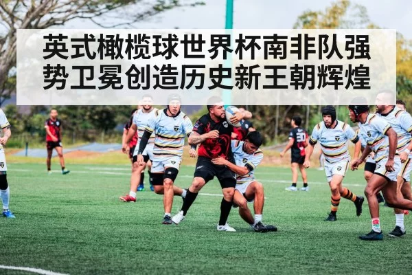 英式橄榄球世界杯南非队强势卫冕创造历史新王朝辉煌