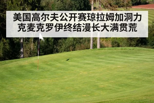 golf course green with flag