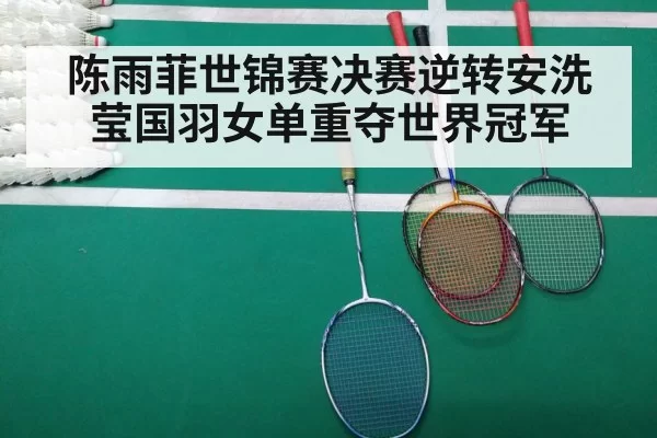 badminton final match