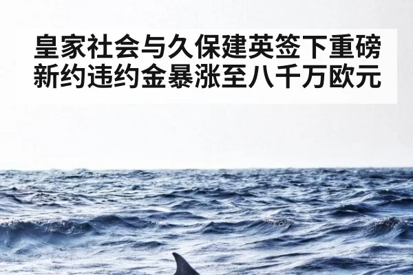 皇家社会与久保建英签下重磅新约违约金暴涨至八千万欧元