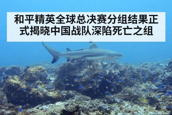 和平精英全球总决赛分组结果正式揭晓中国战队深陷死亡之组
